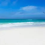 Seaside Serenity